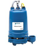 BOMBA DE EFLUENTES DE DOBLE SELLO NPT DE 2" 2ED - SÓLIDOS DE 3/4"