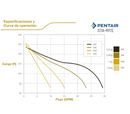 BOMBAS JET SERIE SNC PENTAIR STA-RITE